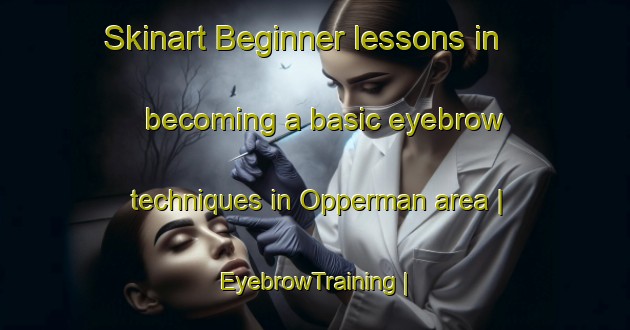 Skinart Beginner lessons in becoming a basic eyebrow techniques in Opperman area | EyebrowTraining | EyebrowClasses | SkinartTraining-United States